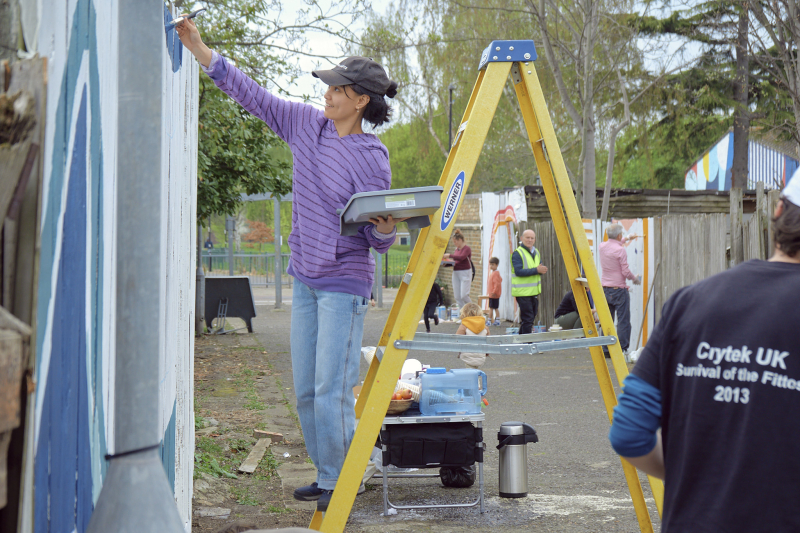 A woman on a ladder paints a back fence