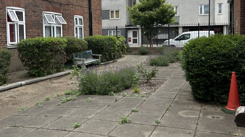 Athlone House Community Hall Gardens 