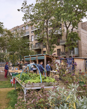 Attendees enjoying the Harvest Festival at the Community Plant Nursery in Tufnell Park