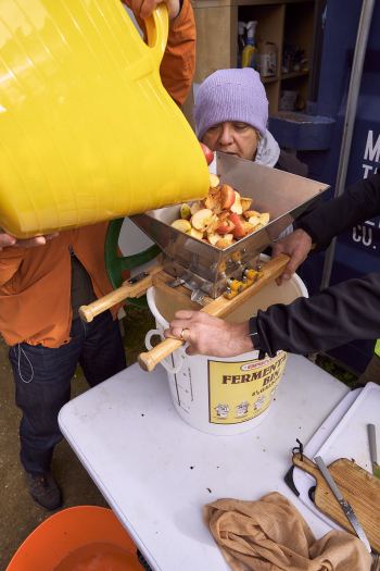 People taking part in apple fermenting