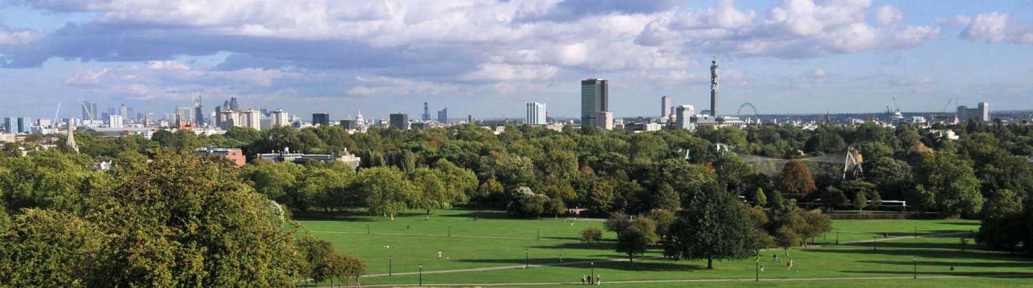 Primose Hill, London