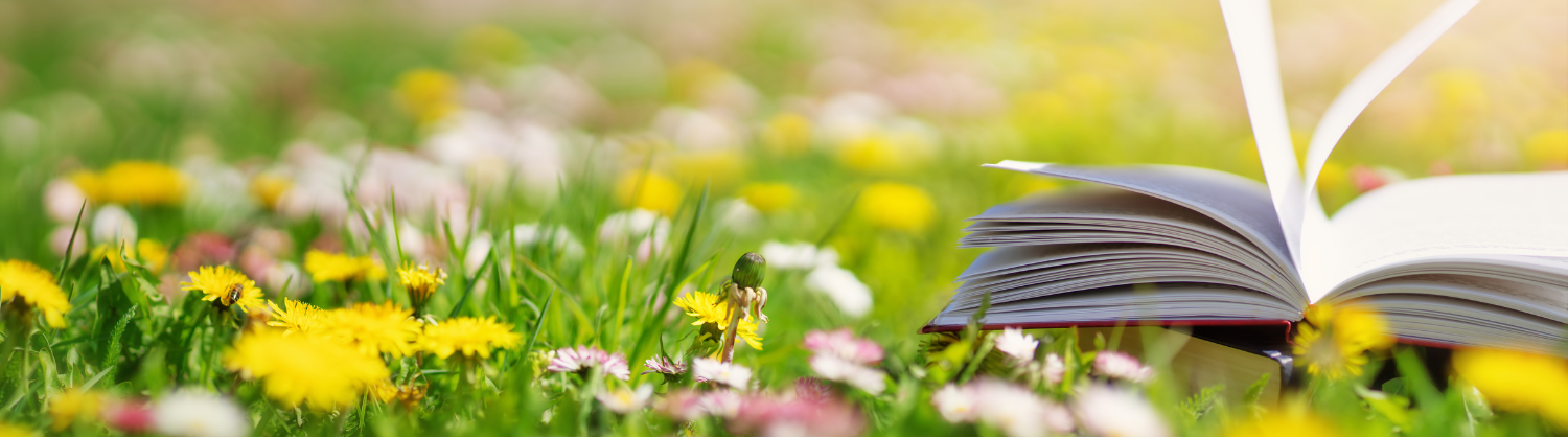 Open book in field