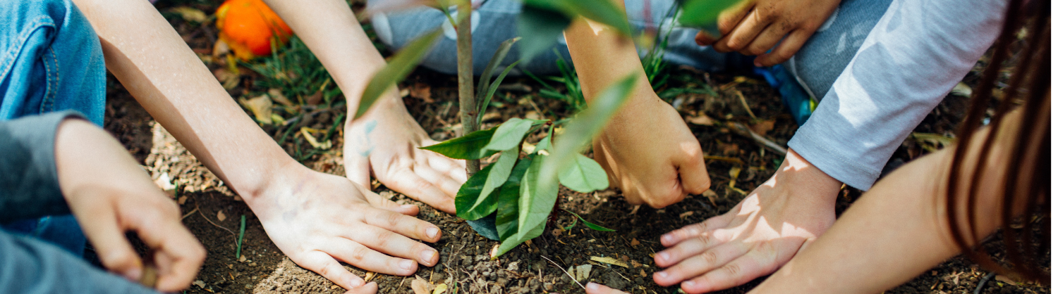 Children gardening