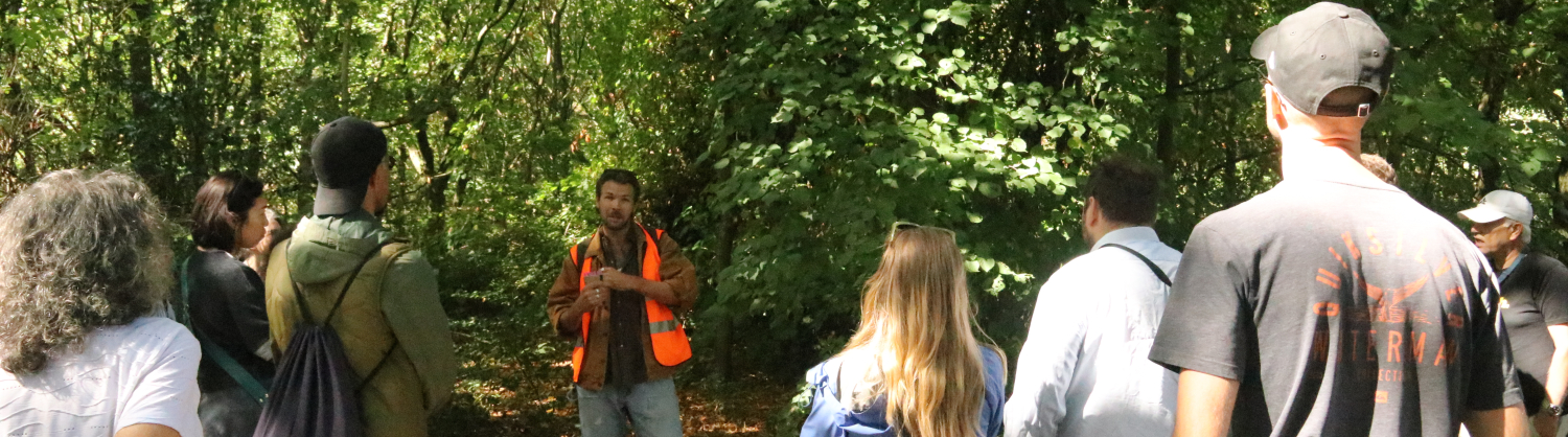 Guided Tree Walk