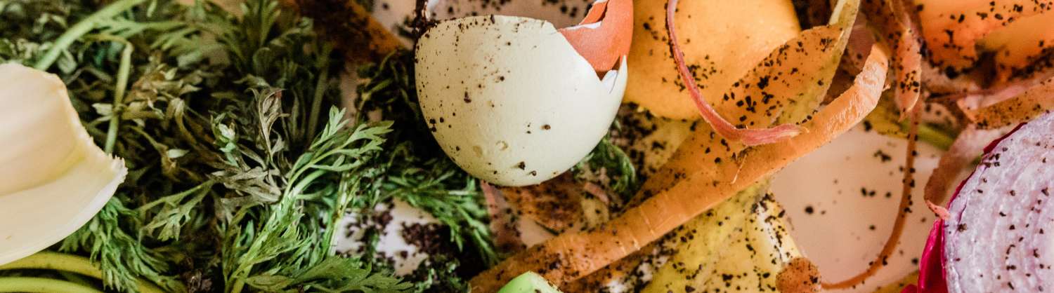 Arachne Women's Support: Food Waste Webpage Banner