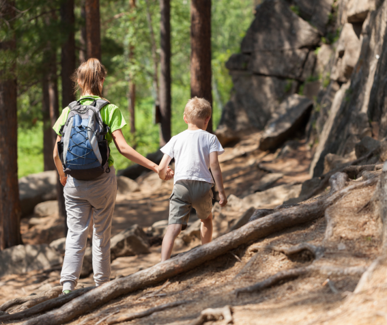 children walking in forest