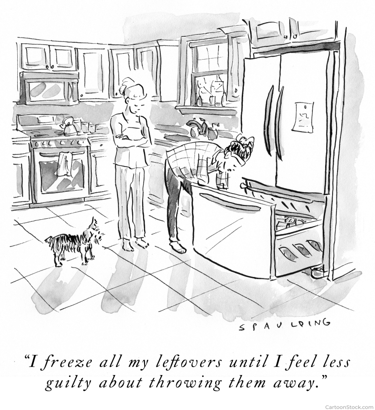 A cartoon showing a woman in front of a fridge who says "I freeze all of my leftovers until I feel less guilty about throwing them away."