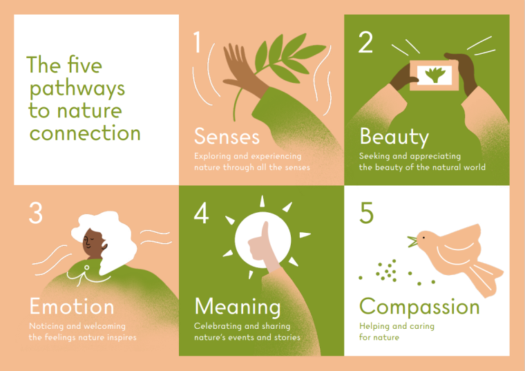 The 5 pathways to nature connection - infographic with information listed below