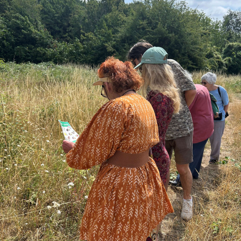 Butterfly Walk 