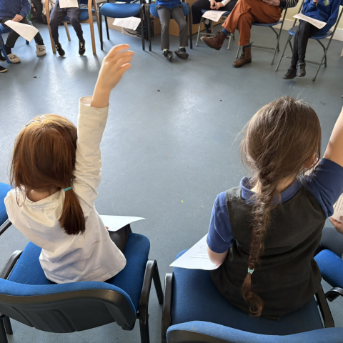 Two students raising their hands to contribute to classroom discussions