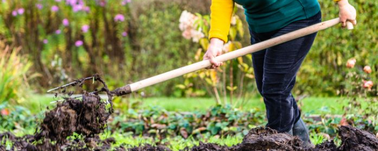 Garden rake