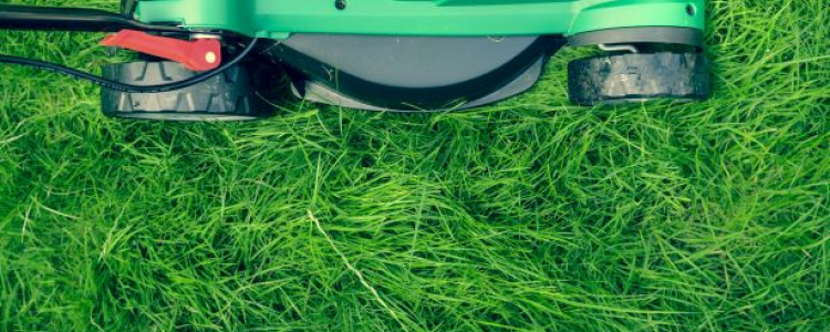 Lawnmower