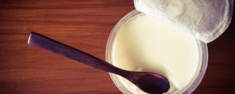 Yoghurt