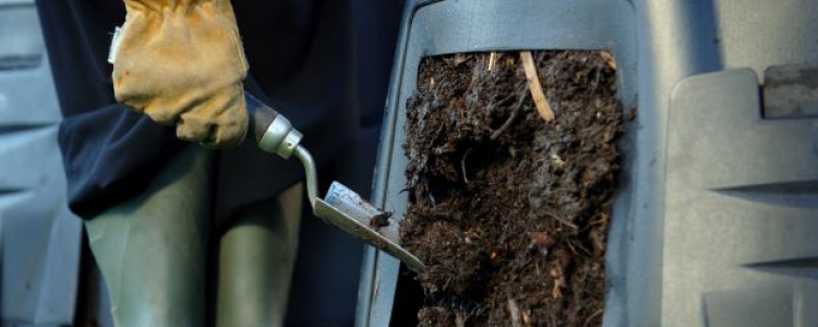 Soil