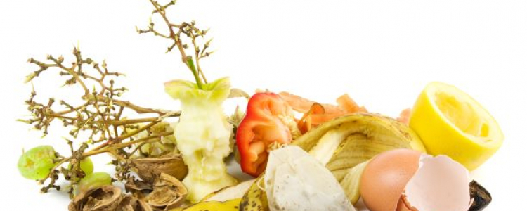 Food waste