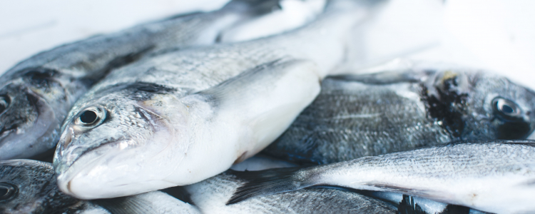 Raw fish