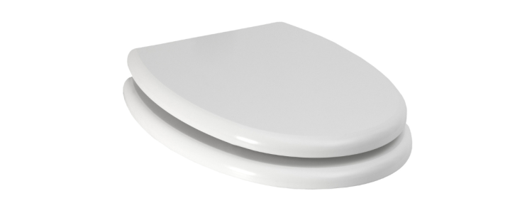 toilet seat