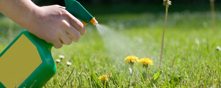 weed spray