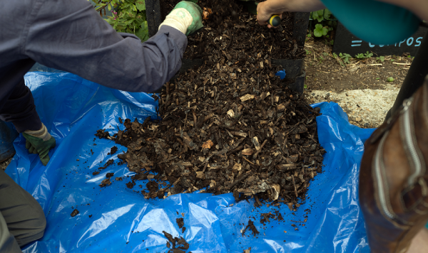 Emptying the compost bin